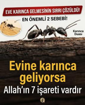 KARINCANIN SESSİZ DUASI