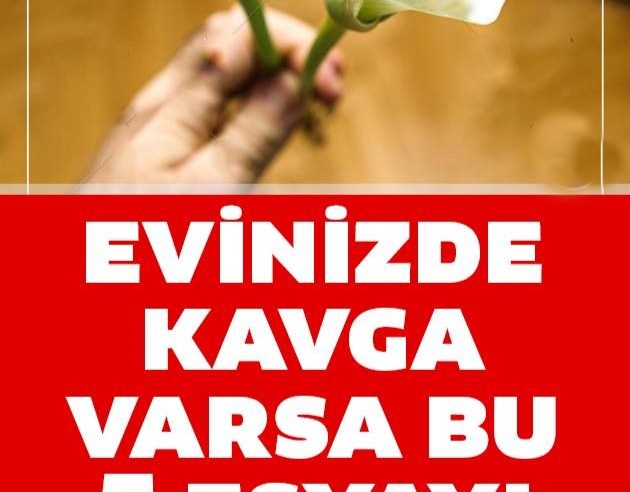 Evinizde Kavga Varsa Bu 5 Şeyi Hemen Atın