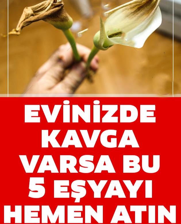 Evinizde Kavga Varsa Bu 5 Şeyi Hemen Atın