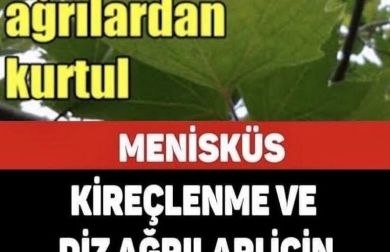 Not edin lazim olabilir..