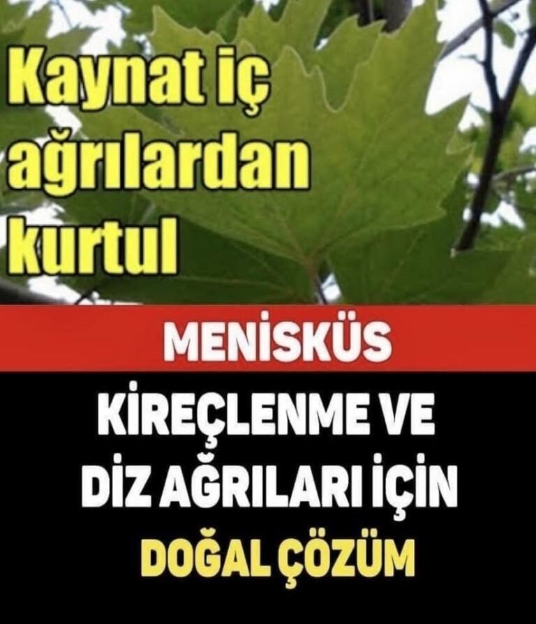 Not edin lazim olabilir..