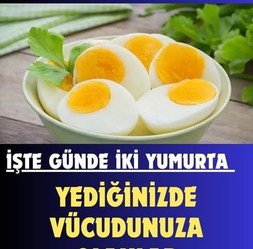 Günde iki yumurta yerselir bakın sizleri neler bekliyor..