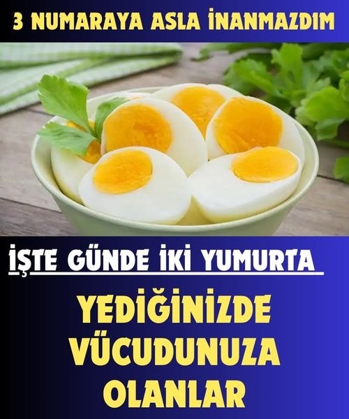 Günde iki yumurta yerselir bakın sizleri neler bekliyor..