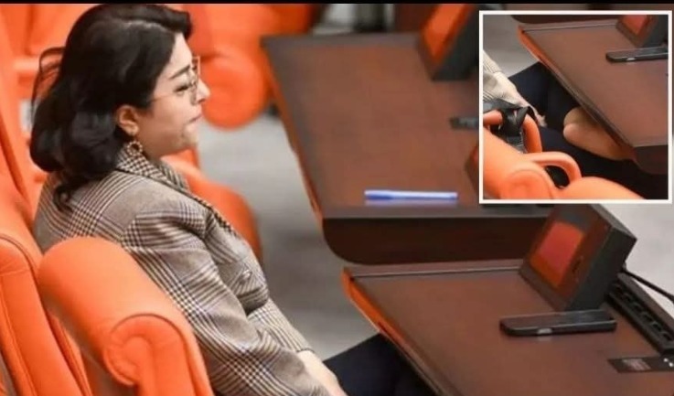 Demli vekil mecliste