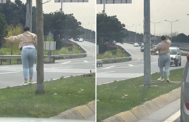 Bakın yol ortasında ne yaptı