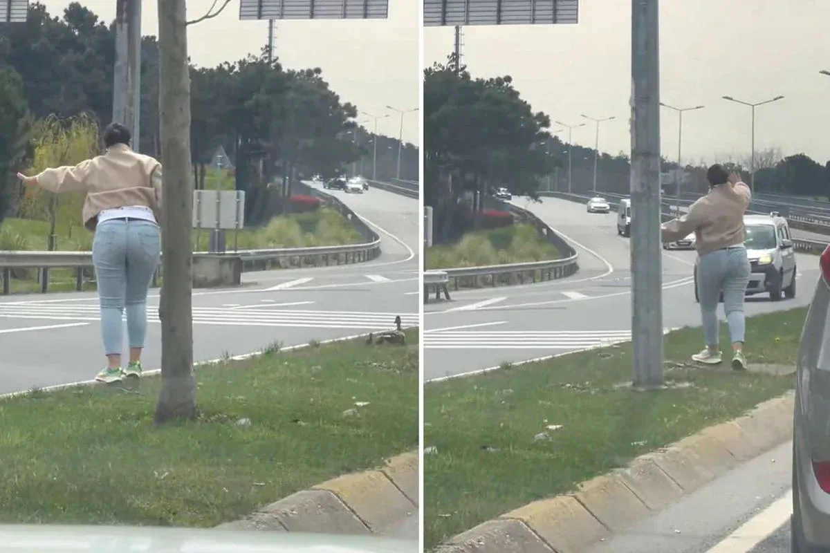 Bakın yol ortasında ne yaptı