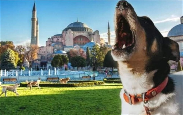 EZAN SESİNDEN NEDEN ULUR
