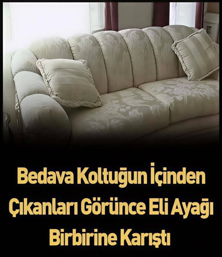 Bedava aldığı koltuğun içinden öyle bir şey çıktı ki,